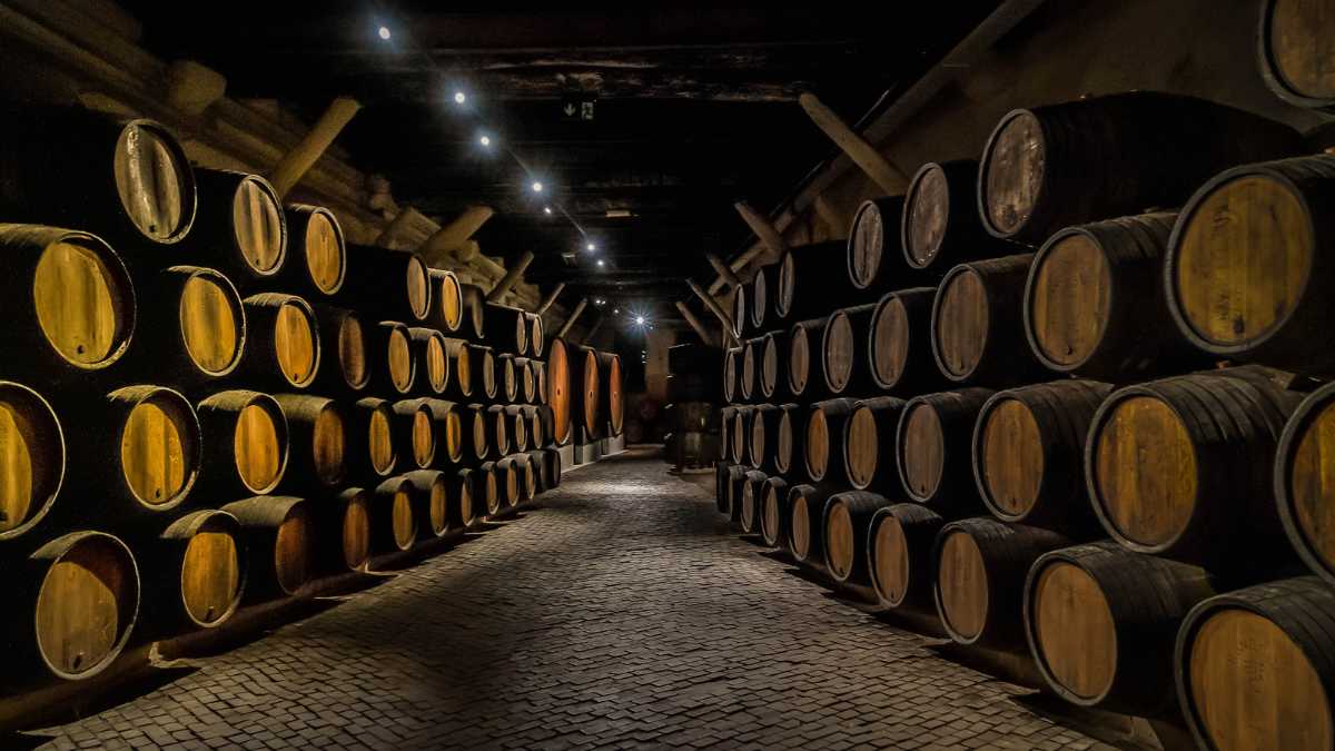 Come visitare le cantine del Brunello di Montalcino: consigli pratici